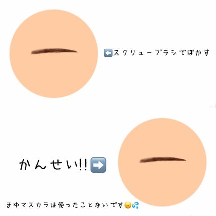 だ円芯 アルミ アイブローペンシル/DAISO/アイブロウペンシルを使ったクチコミ(4枚目)