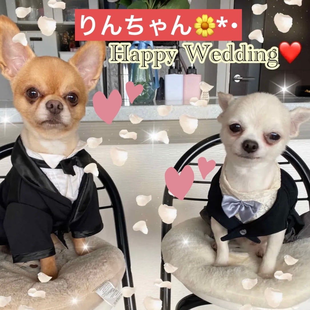 バブルバス フレッシュストロベリーの香り/charley/保湿系入浴剤を使ったクチコミ(6枚目)