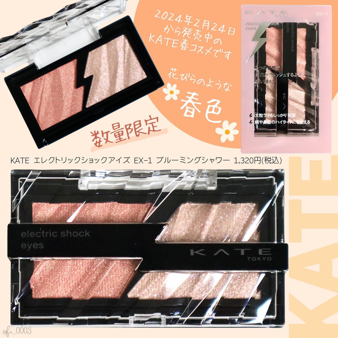 エレクトリックショックアイズ /KATE/アイシャドウパレットを使ったクチコミ（2枚目）