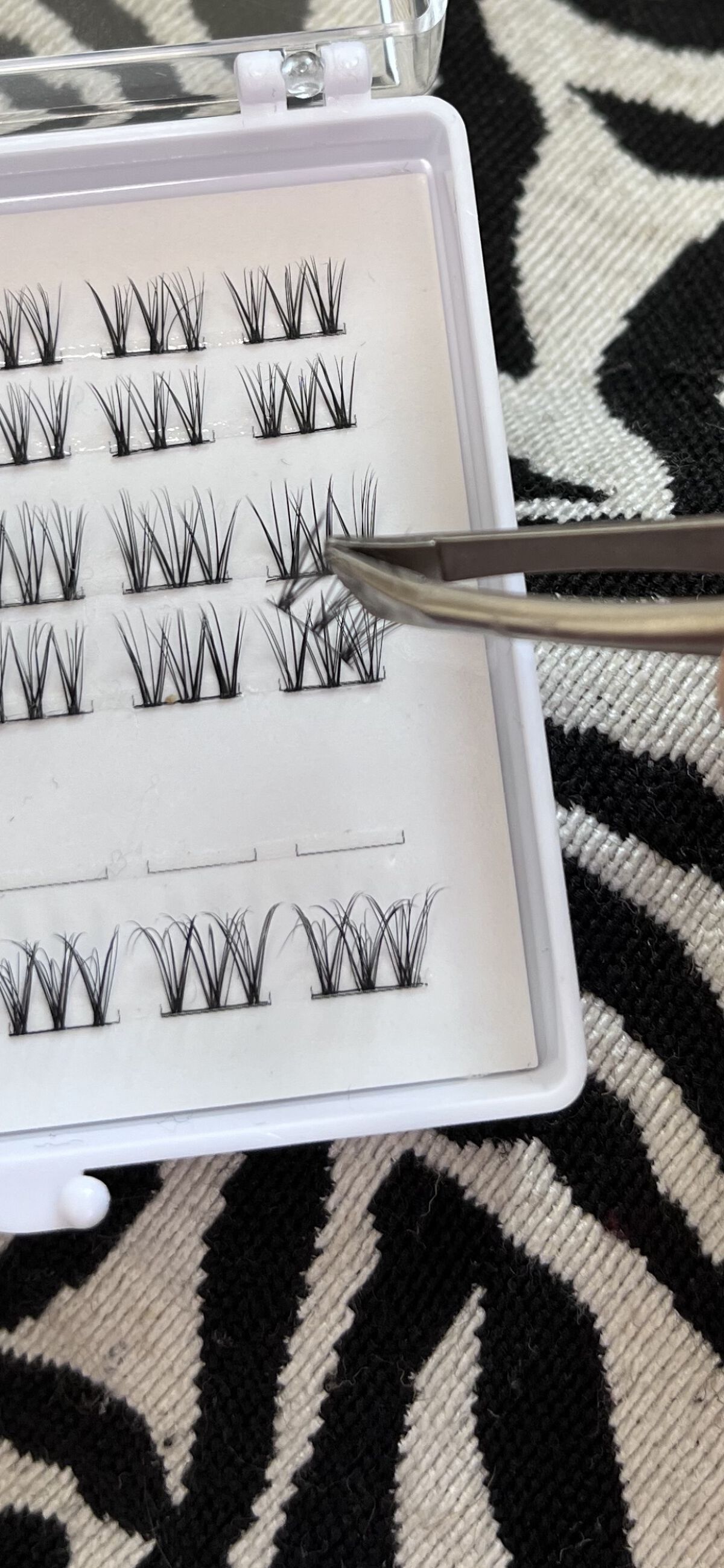 クイックエクステンション 02 RICH（リッチ）/D-UP/つけまつげを使ったクチコミ（3枚目）