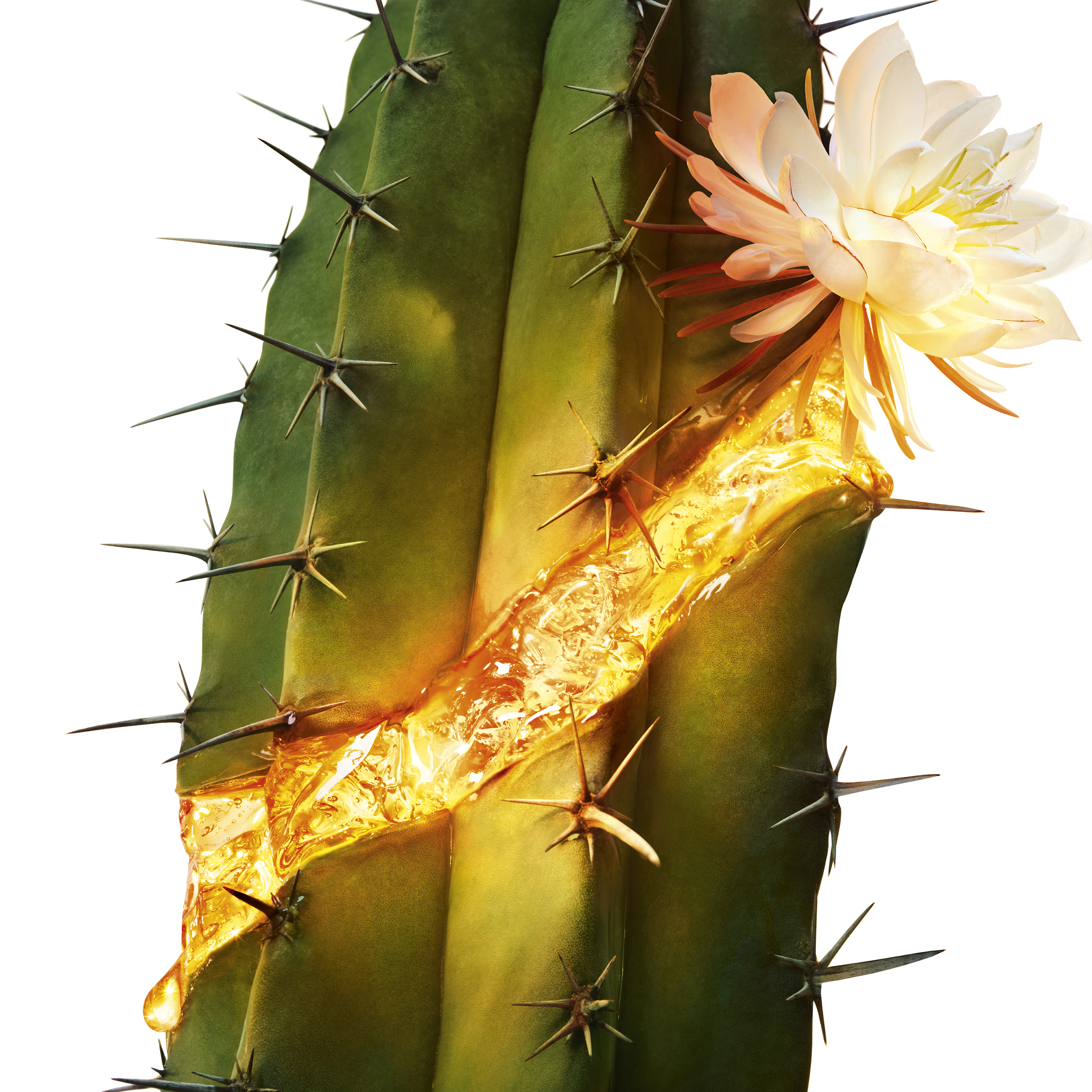 ピュアショット ナイト リチャージセラム/YVES SAINT LAURENT BEAUTE/美容液を使ったクチコミ（2枚目）