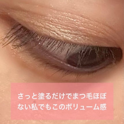 ワンダーボリューム スリルシーカー 001 ブラック/リンメル ロンドン/マスカラの画像