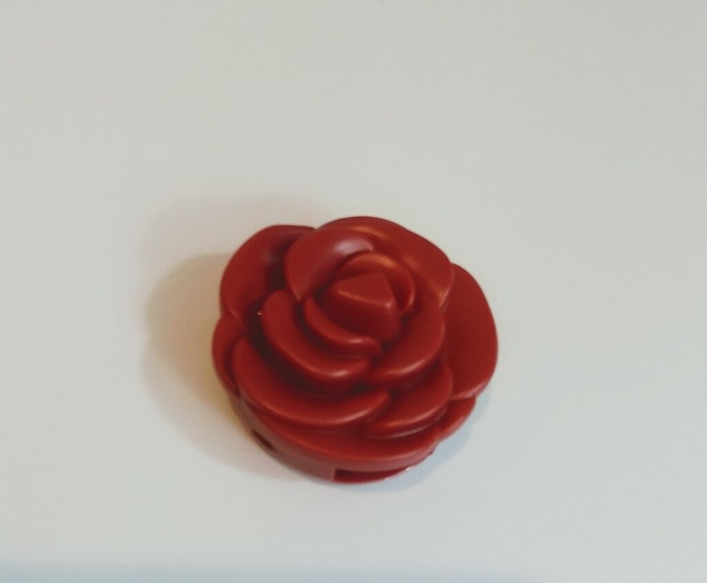 Rosy Lips/the YEON/口紅を使ったクチコミ（1枚目）