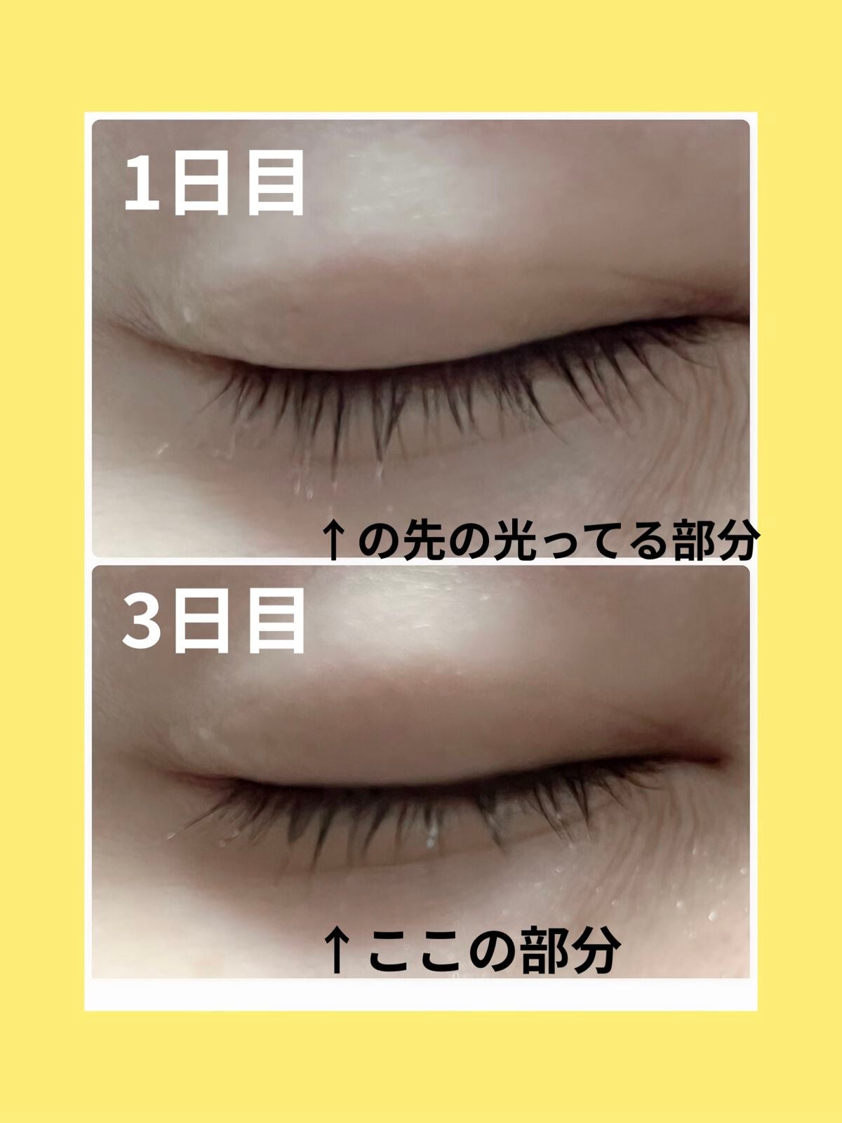 マジックティント/MAJOLICA MAJORCA/マスカラを使ったクチコミ(4枚目)