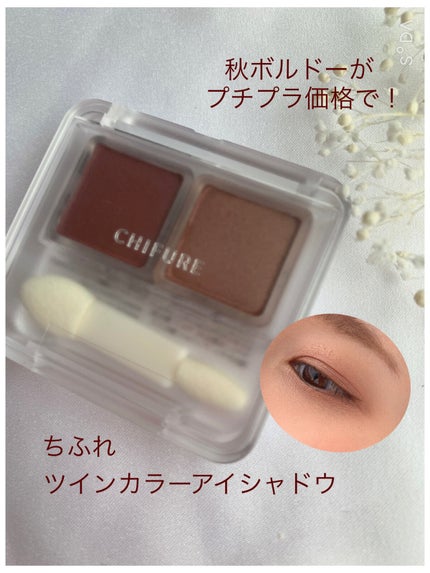 ツイン カラー アイシャドウ/ちふれ/アイシャドウパレットを使ったクチコミ(1枚目)