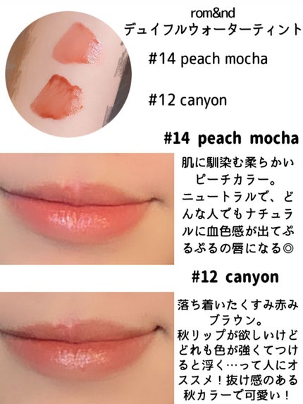 デュイフルウォーターティント/rom&nd/リップティントを使ったクチコミ(2枚目)