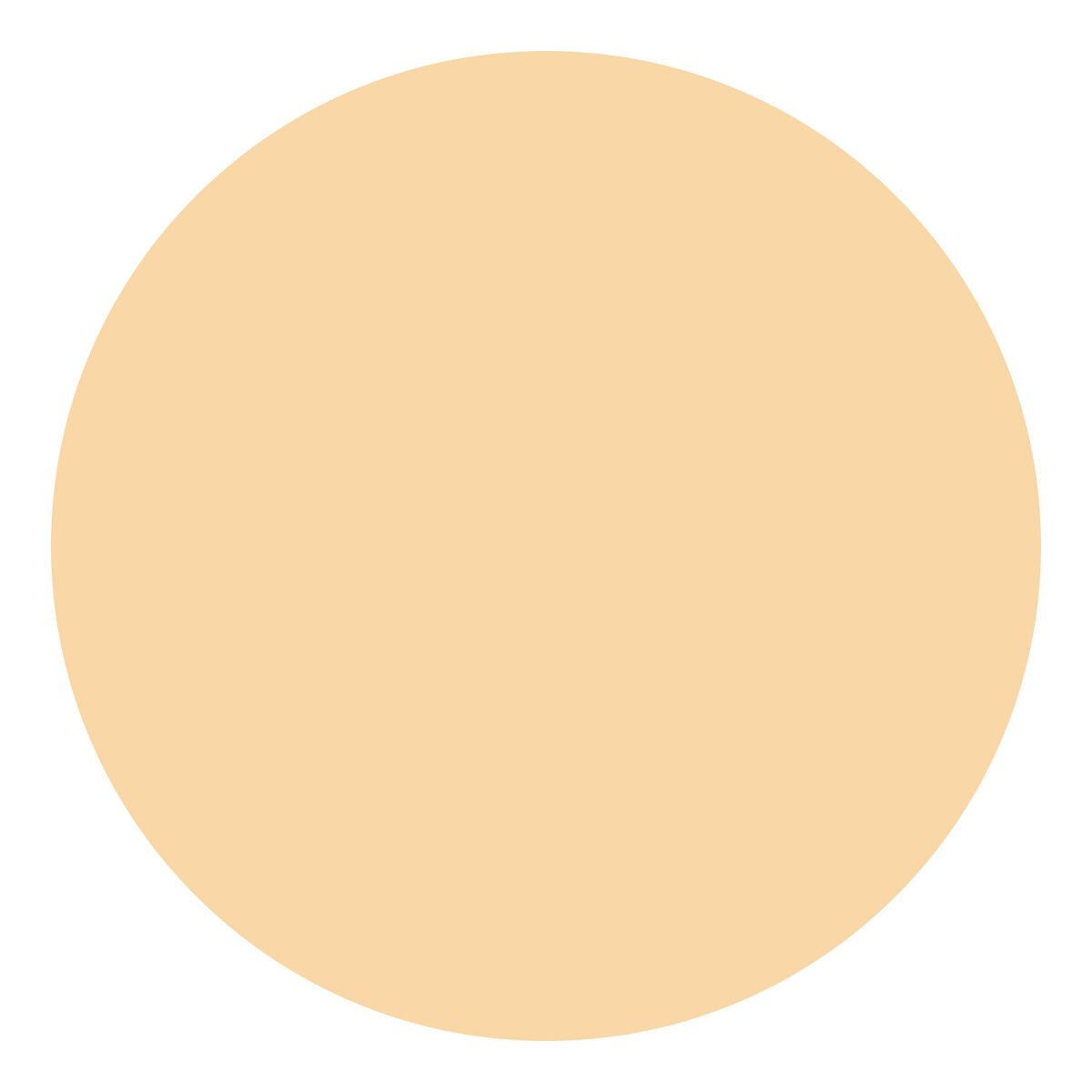 BB クリーム モイスト 02 自然な肌色