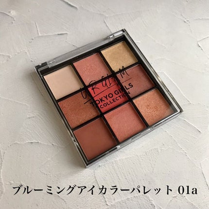 UR GLAM BLOOMING EYE COLOR PALETTE/U R GLAM/アイシャドウパレットを使ったクチコミ(2枚目)