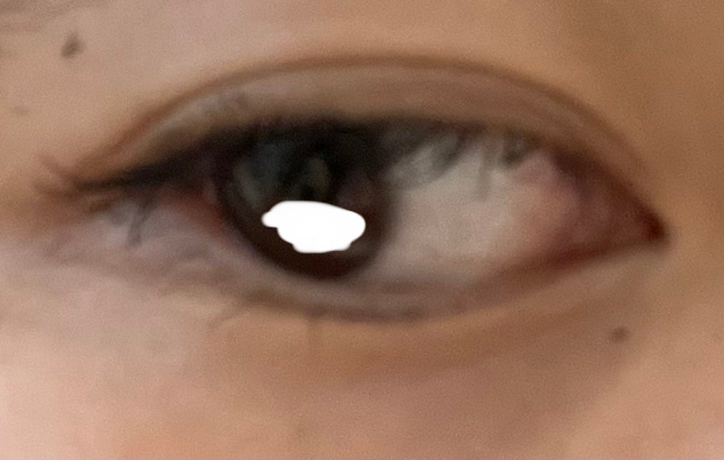 ラッシュガーディアン アングラヴィティマスカラ/LASHGUARDIAN/マスカラを使ったクチコミ(3枚目)