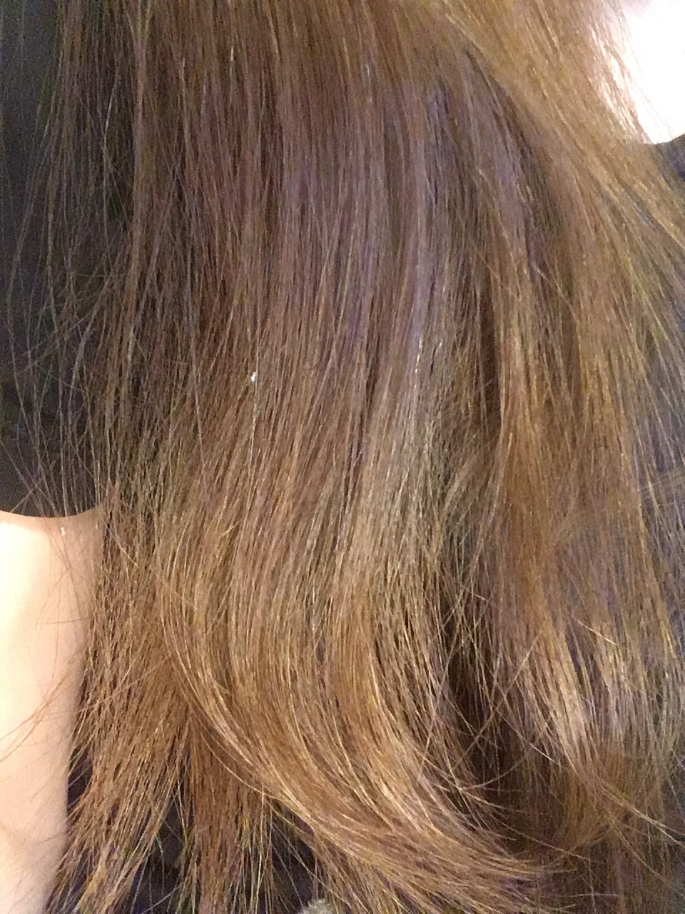 ハニーク エンリッチメント IPヘアオイル/ハニーク/ヘアオイルを使ったクチコミ（1枚目）