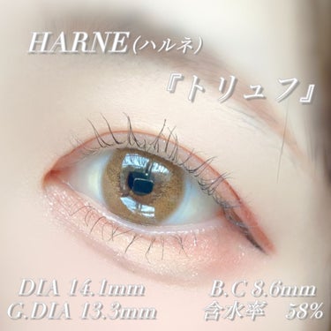 HARNE 1day/HARNE/ワンデー（１DAY）カラコンを使ったクチコミ（2枚目）