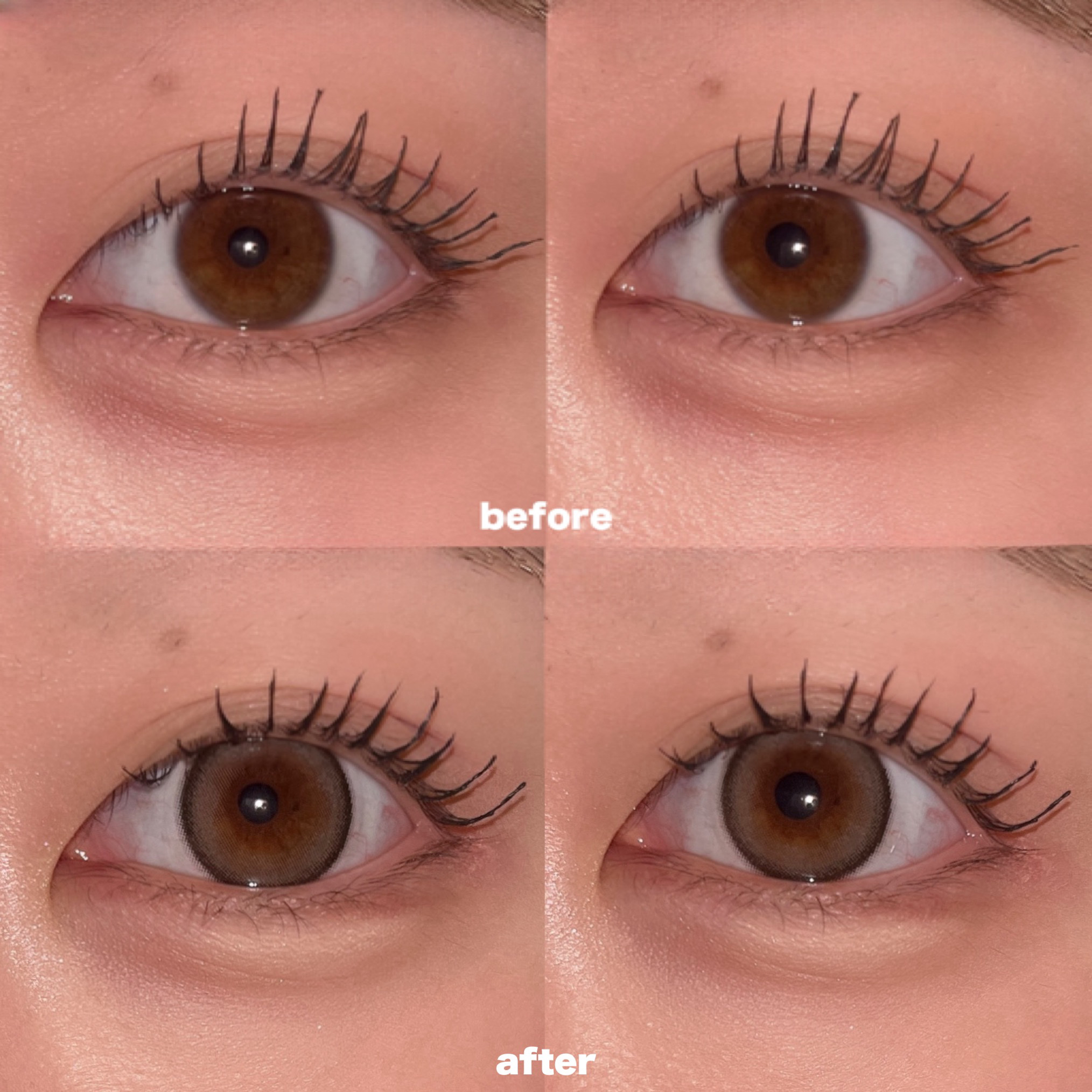 melotte 1day/melotte/ワンデー（１DAY）カラコンを使ったクチコミ（2枚目）