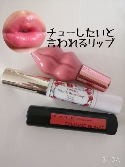 ステイオンバームルージュ/キャンメイク/口紅を使ったクチコミ(1枚目)