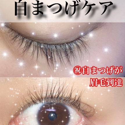 ラッシュジェリードロップ EX/MAJOLICA MAJORCA/まつげ美容液を使ったクチコミ(1枚目)