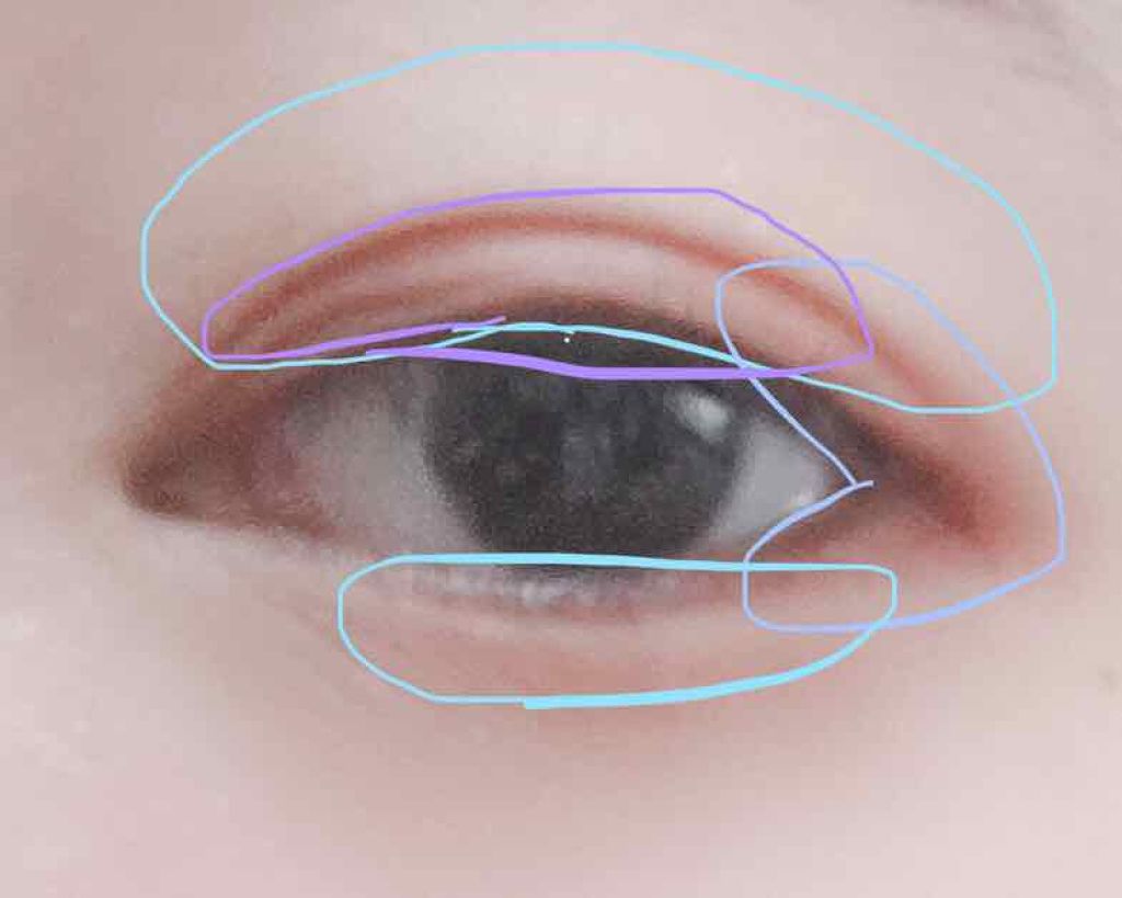 アイニュアンス/キャンメイク/アイシャドウパレットを使ったクチコミ(2枚目)