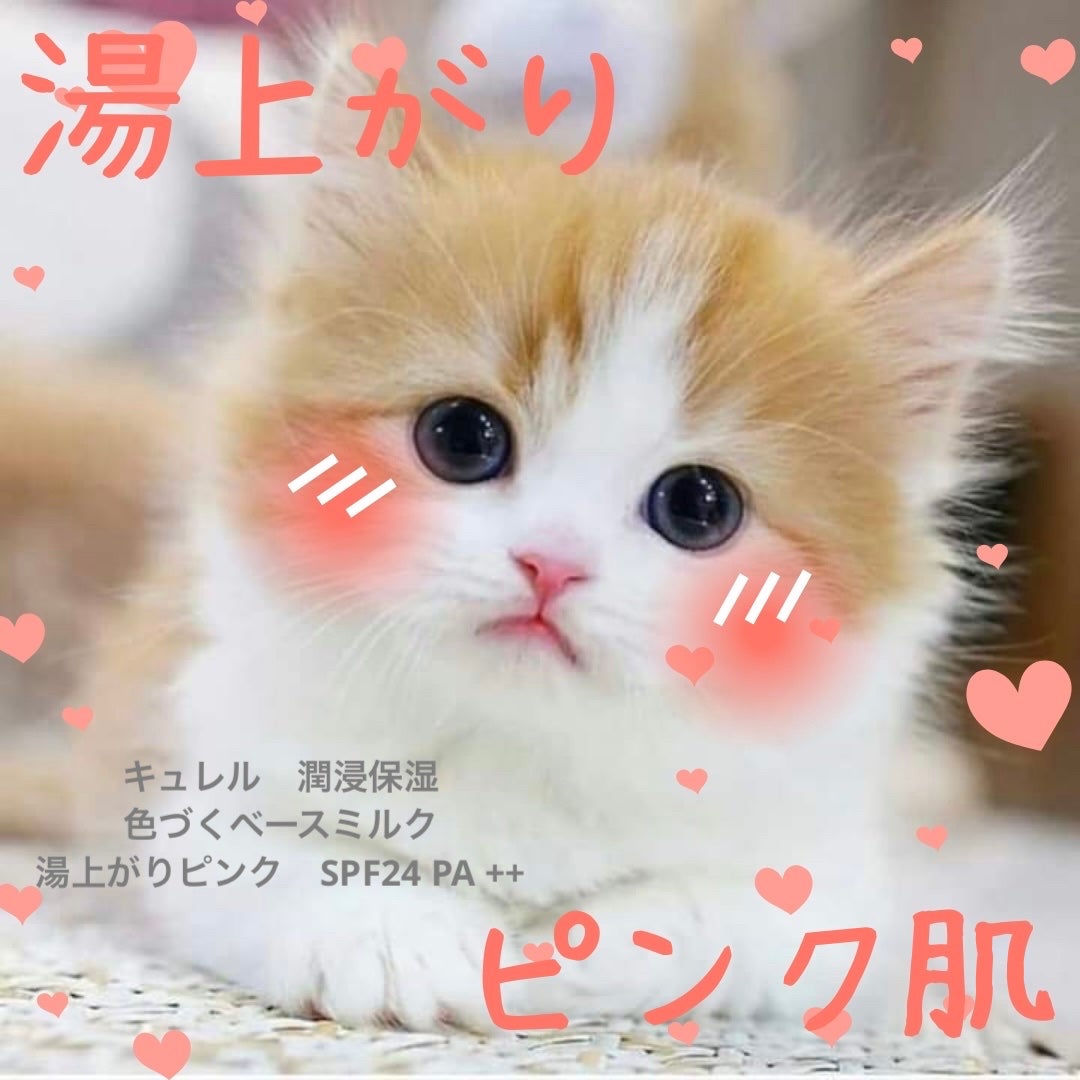 キュレル 潤浸保湿 色づくベースミルク 湯あがりピンク/キュレル/化粧下地を使ったクチコミ(1枚目)