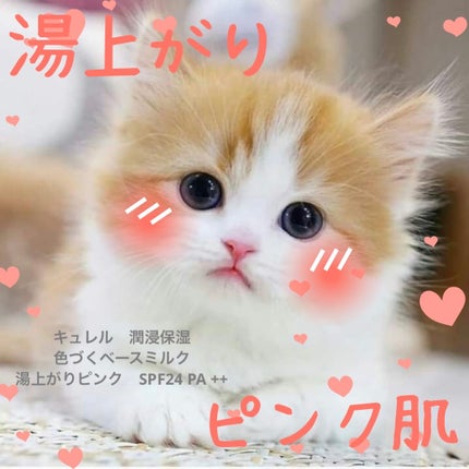 キュレル 潤浸保湿 色づくベースミルク 湯あがりピンク/キュレル/化粧下地を使ったクチコミ(1枚目)