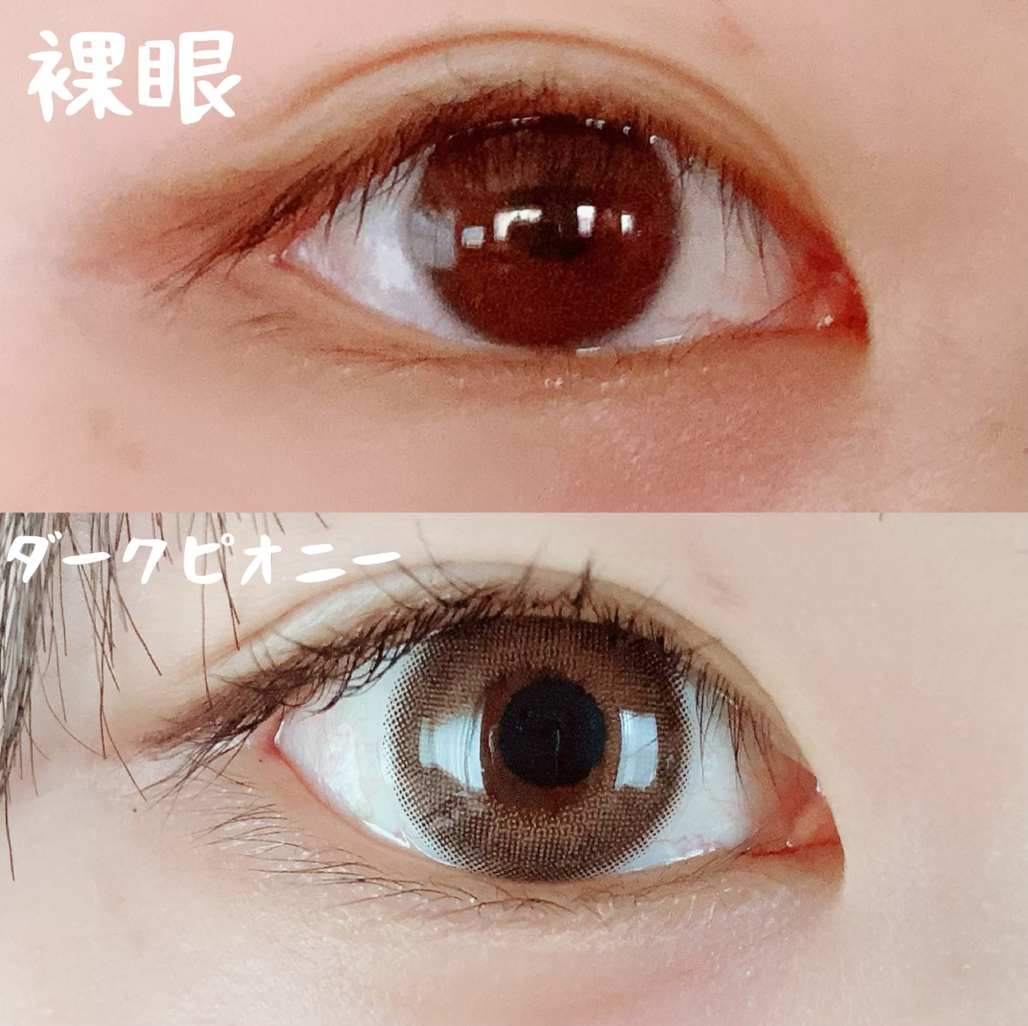 MOLAK 1day ダークピオニー/MOLAK/ワンデー（１DAY）カラコンを使ったクチコミ（2枚目）