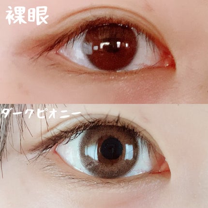 MOLAK 1day/MOLAK/ワンデー(1DAY)カラコンを使ったクチコミ(2枚目)