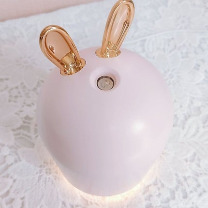 加湿器 うさぎ・トナカイ/DAISO/その他を使ったクチコミ(5枚目)