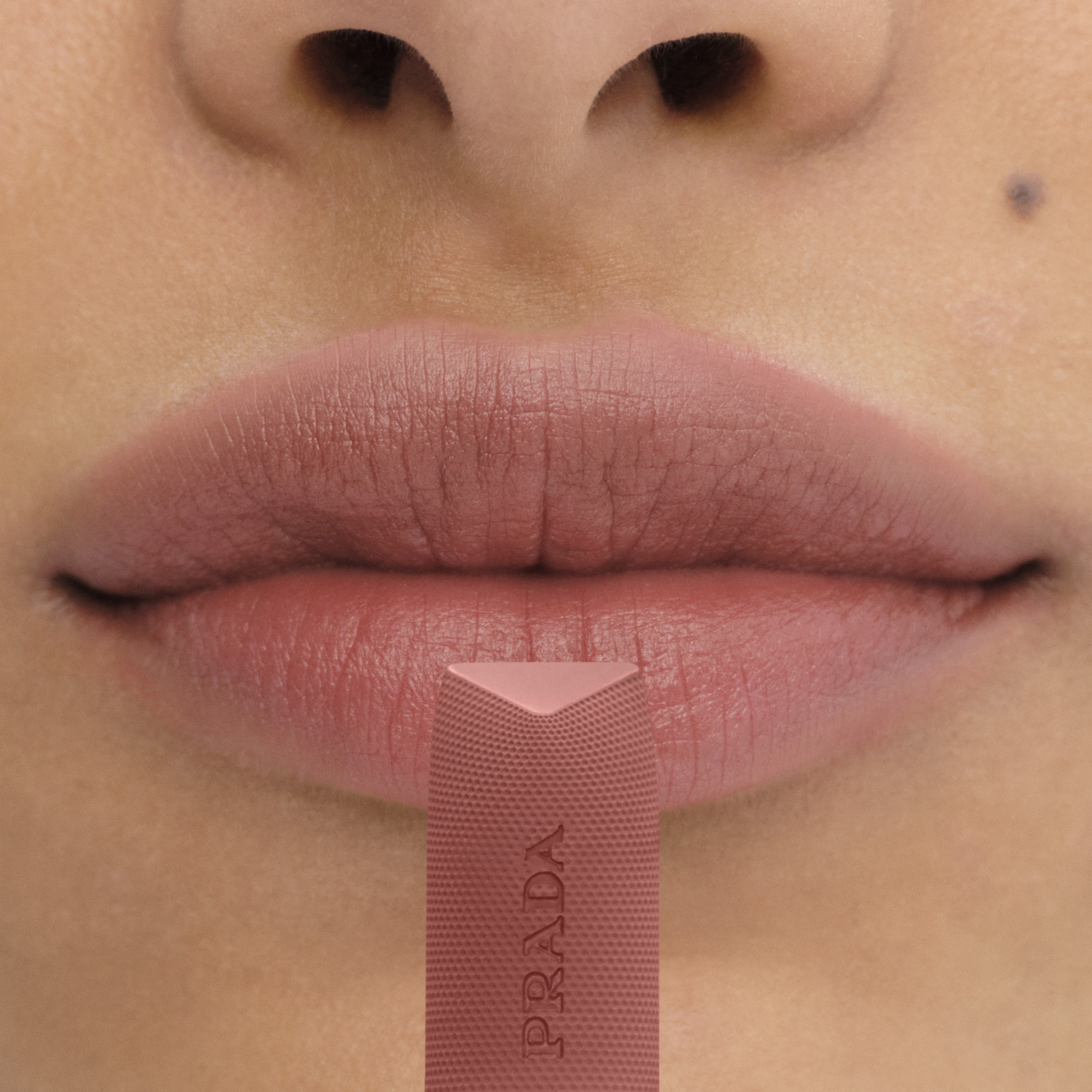 モノクローム ウェイトレス リップカラー(スムース ナイロン) B101 ティエポロ（ホリデー）