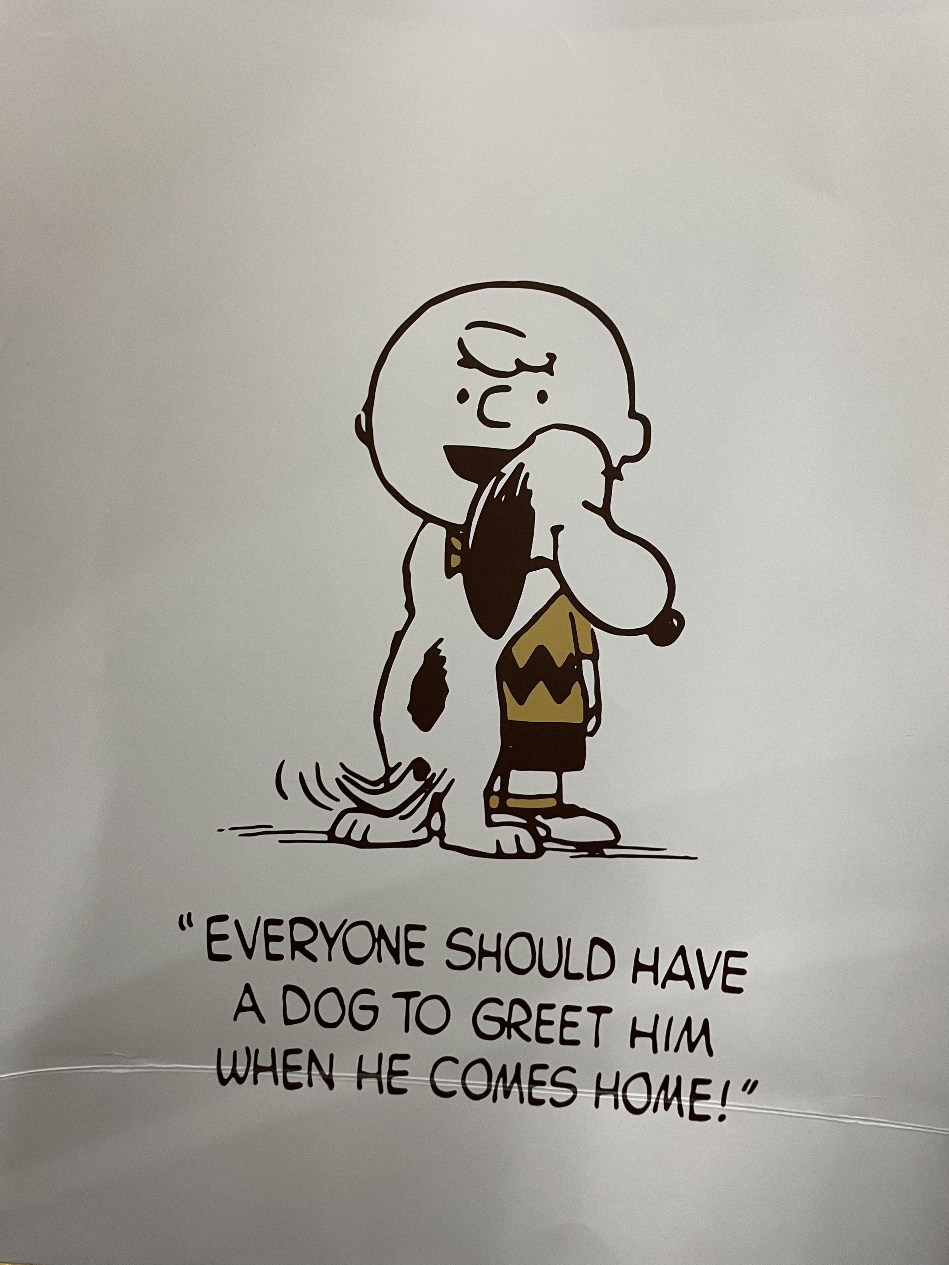 ラッシュフォーマーEX(クリア)/KATE/マスカラを使ったクチコミ（1枚目）