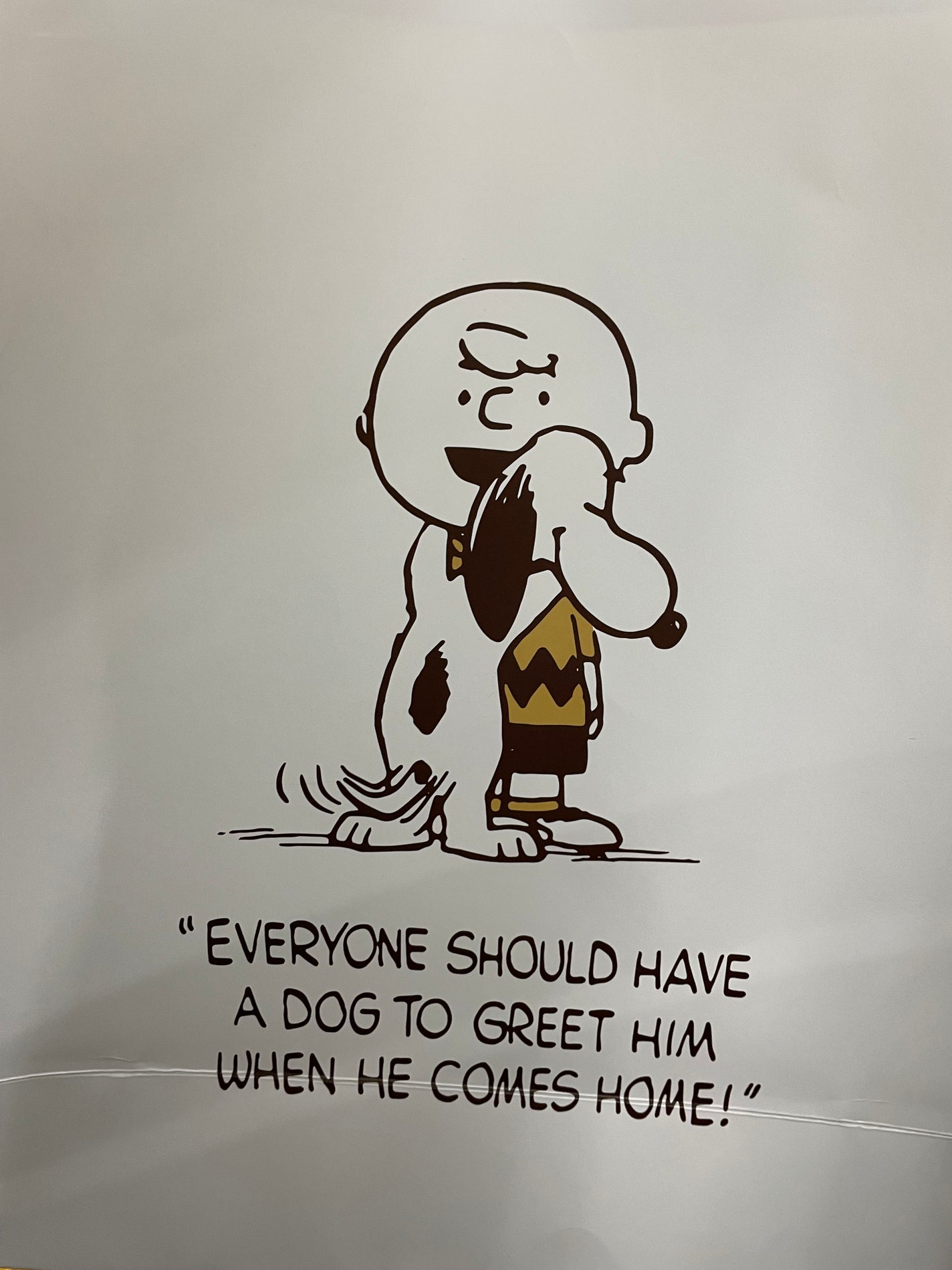 ラッシュフォーマーEX(クリア)/KATE/マスカラを使ったクチコミ(1枚目)