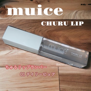 ちゅるリップランパー 01 デイリーピュア/muice/リップグロスを使ったクチコミ（1枚目）