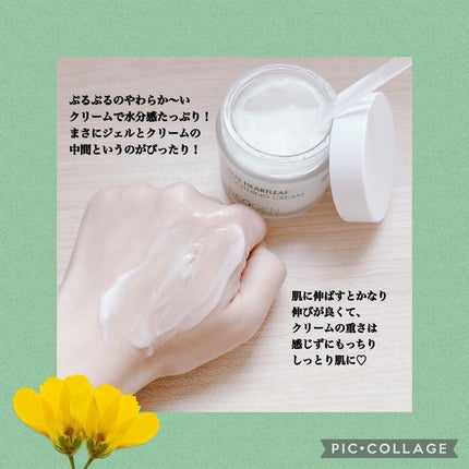 リアルドクダミスージングクリーム/NEOGEN/フェイスクリームを使ったクチコミ(6枚目)