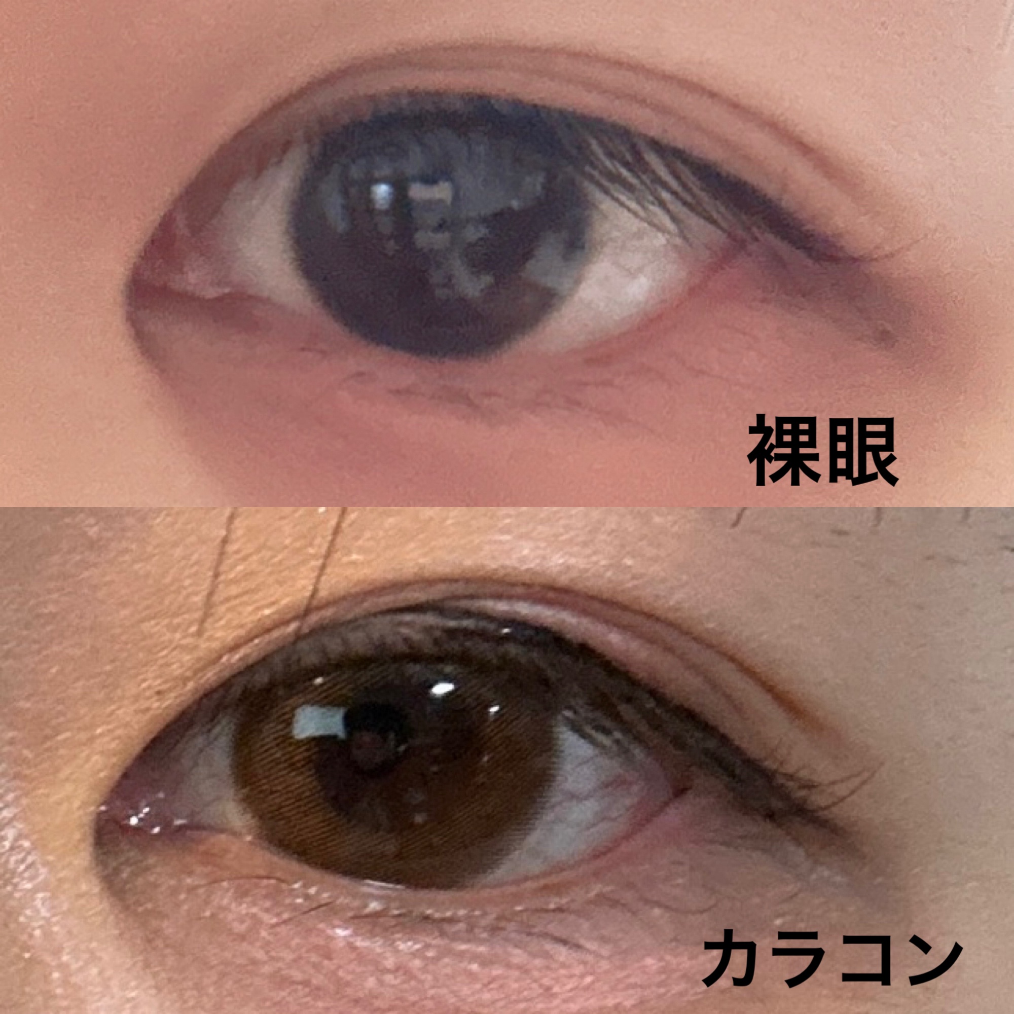 MOLAK 1month サクラスモア/MOLAK/１ヶ月（１MONTH）カラコンを使ったクチコミ（2枚目）