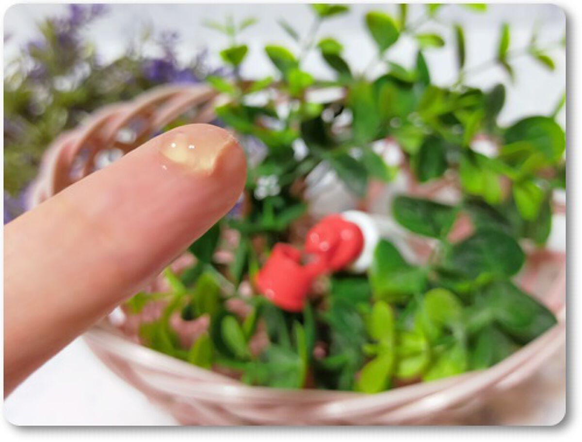 HyBLipモイストリップ/ヒノキ肌粧品/リップ美容液を使ったクチコミ（2枚目）