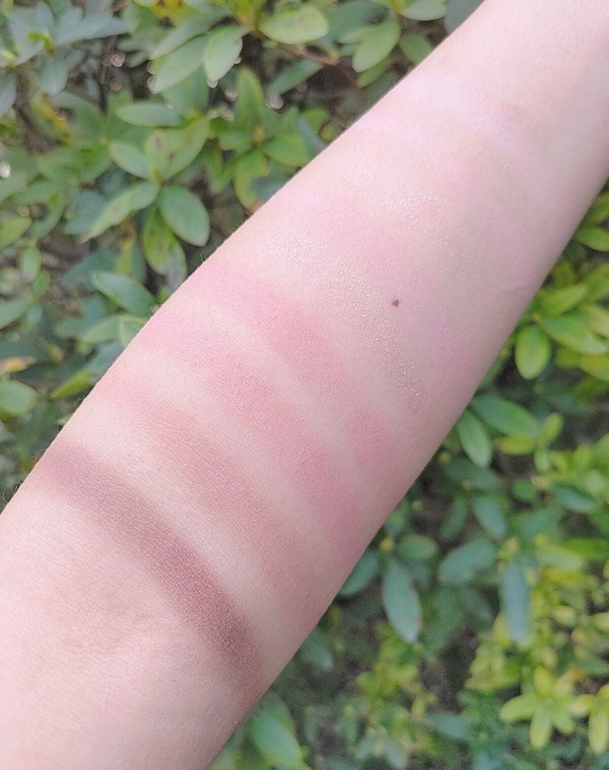 KEYBO FALL IN LOVE SHADOW PALETTE/keybo/アイシャドウパレットを使ったクチコミ(5枚目)