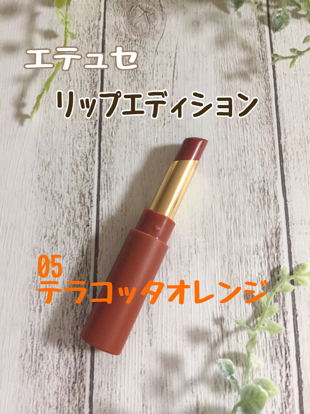 エテュセ リップエディション(ティントルージュ)/ettusais/リップティントを使ったクチコミ（1枚目）