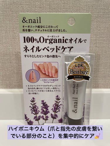 アンドネイル ネイルベッドオイルのクチコミ「【💅ハイポニキウム集中ケア】

ハイポニキウム（爪と指先の皮膚を繋いでいる部分のこと）のケアに.....」（1枚目）