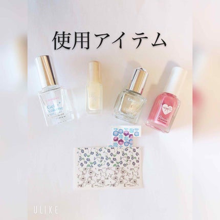 ジェルボリュームトップコート/キャンメイク/ネイルトップコートを使ったクチコミ(2枚目)