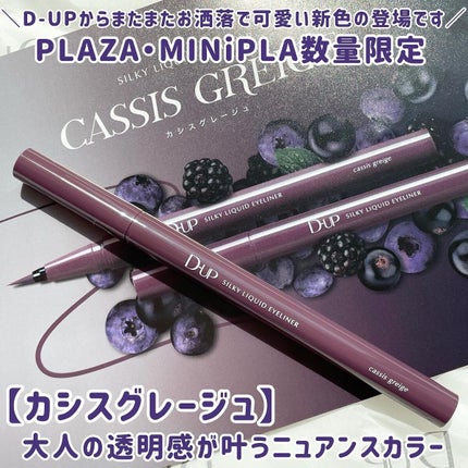 シルキーリキッドアイライナーWP/D-UP/リキッドアイライナーを使ったクチコミ(2枚目)