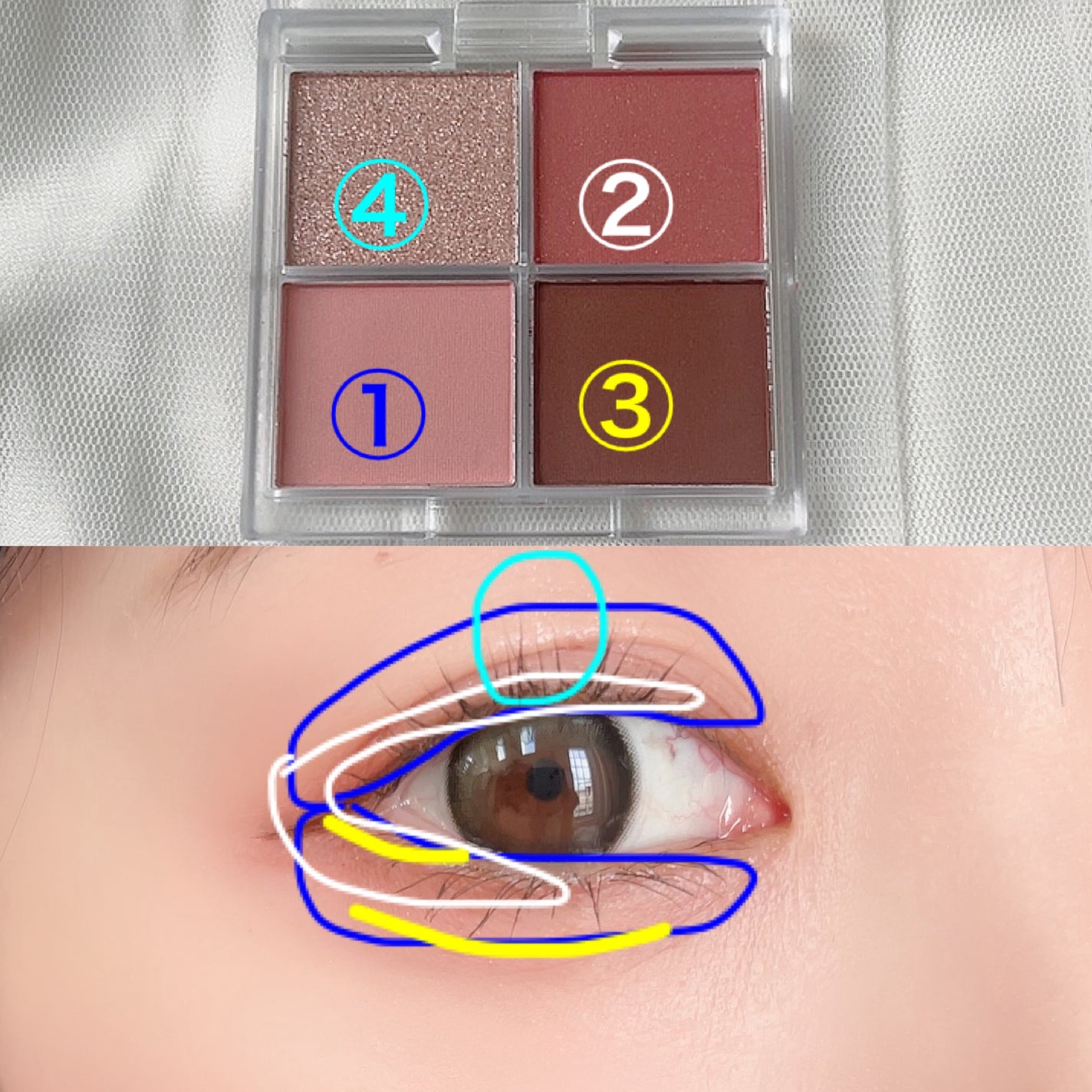 CHEER me COLOR アイシャドウ/セリア/アイシャドウパレットを使ったクチコミ(4枚目)