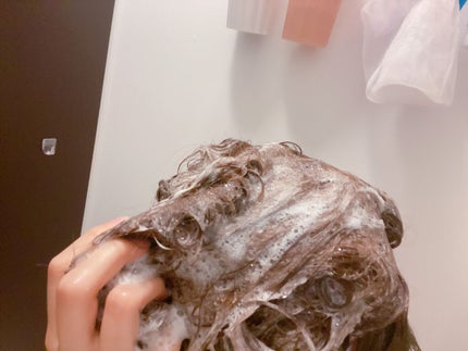 シャンプー/トリートメント SN さらさら/CLAYGE/シャンプー・コンディショナーを使ったクチコミ(3枚目)