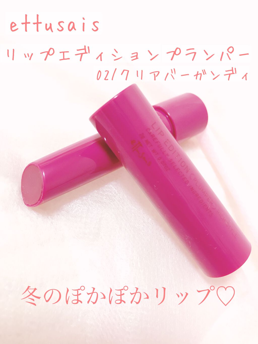 エテュセ リップエディション(プランパー)リッチスタイル/ヘルシースタイル/ettusais/リップケアを使ったクチコミ(1枚目)