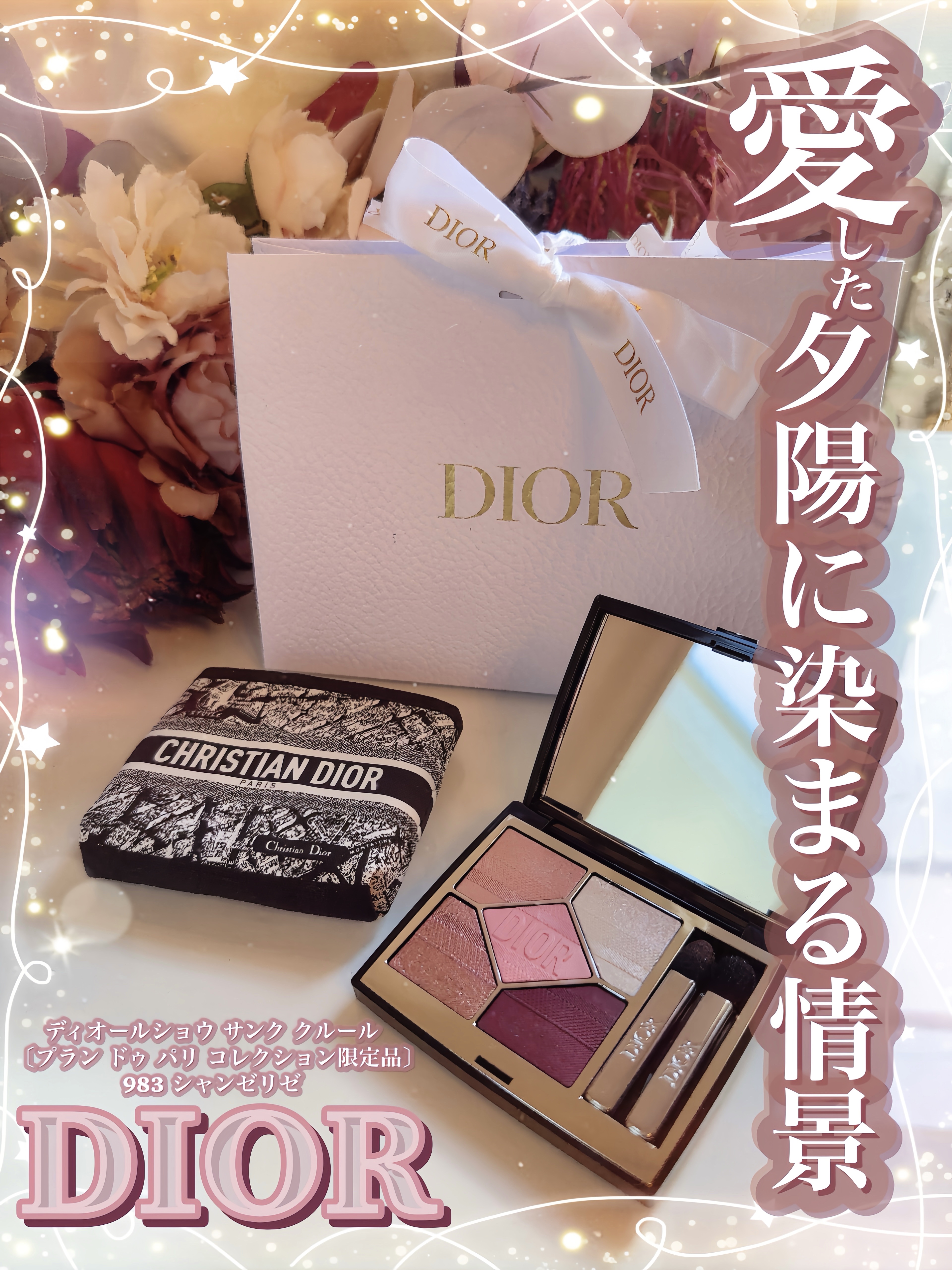 【旧】ディオールショウ サンク クルール（プラン ドゥ パリ コレクション限定品）/Dior/アイシャドウを使ったクチコミ（1枚目）