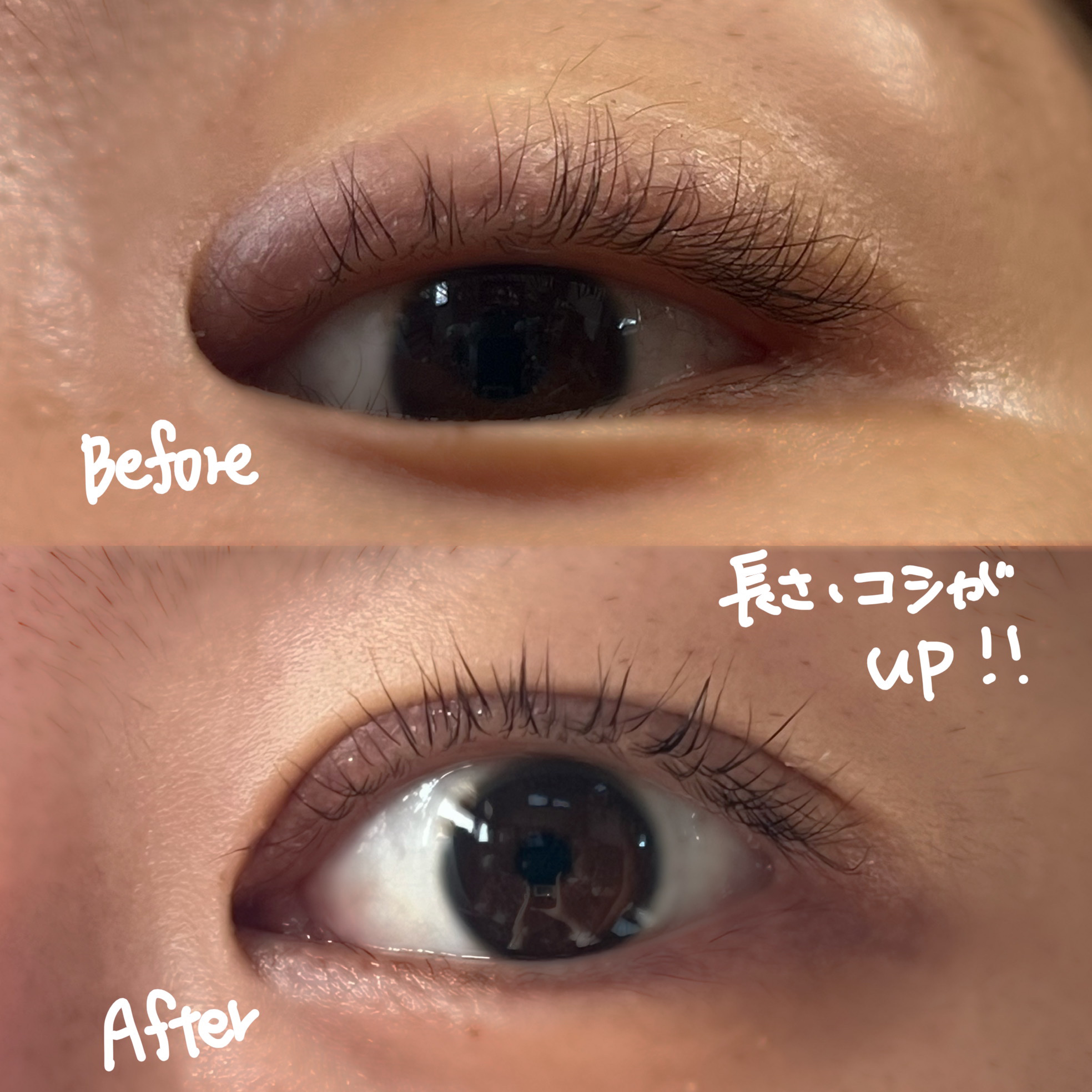 ミラクルアイラッシュアンプル/deartique/まつげ美容液を使ったクチコミ（3枚目）