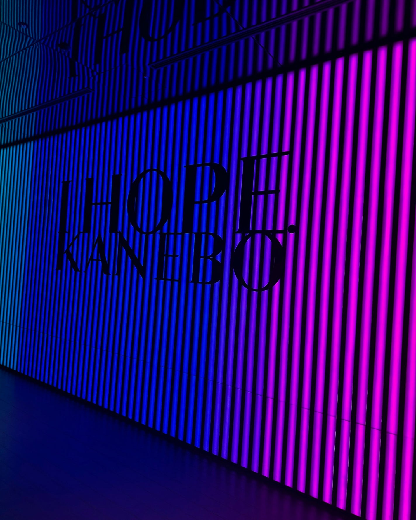 カネボウ フュージョニング ソリューション/KANEBO/美容液を使ったクチコミ(10枚目)