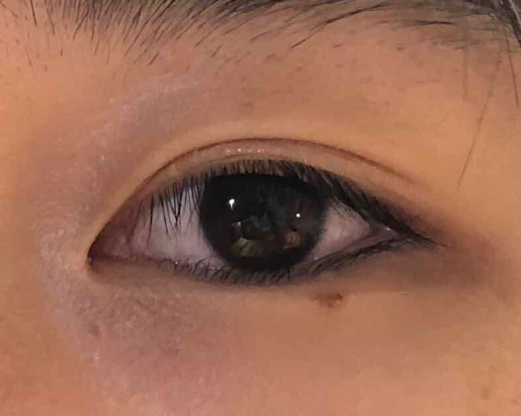 うるプチふたえグルー/キコラボメイク/二重まぶた用アイテムを使ったクチコミ（3枚目）