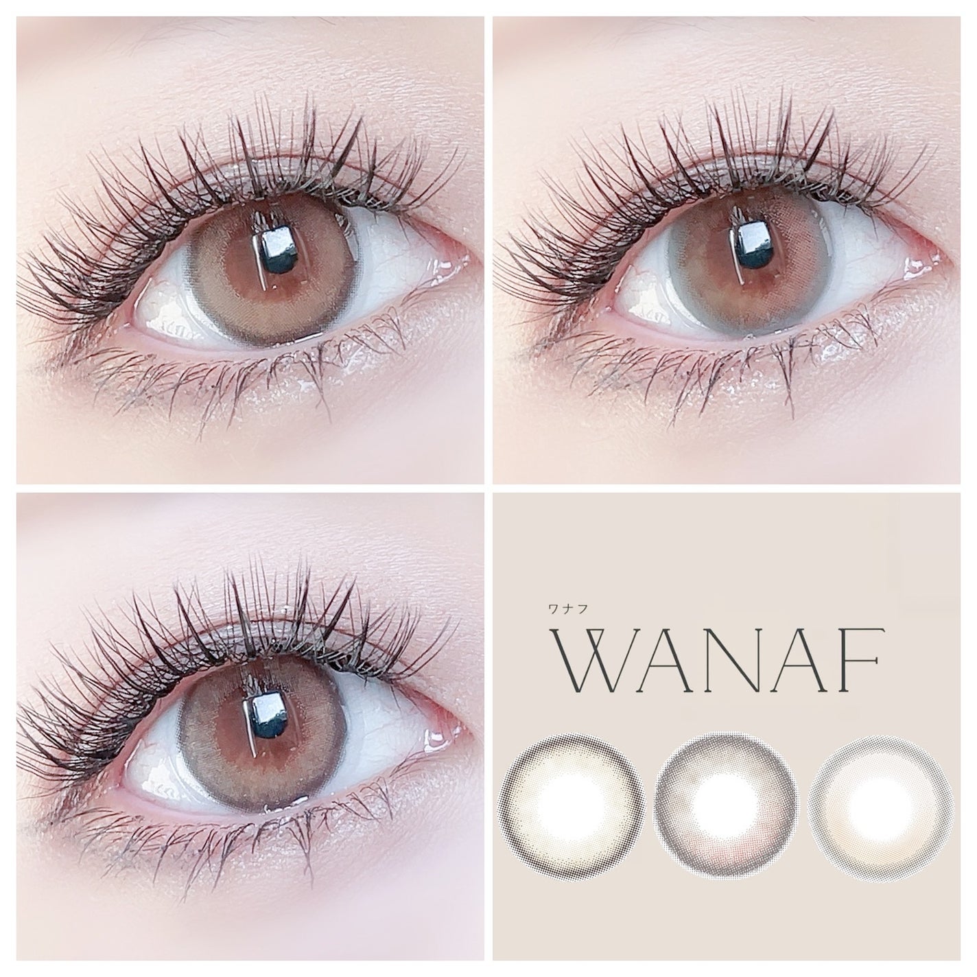 WANAF 1day/WANAF/ワンデー(1DAY)カラコンを使ったクチコミ(1枚目)