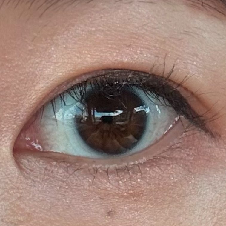 アイシャドウブラシ/KATE/メイクブラシを使ったクチコミ(7枚目)