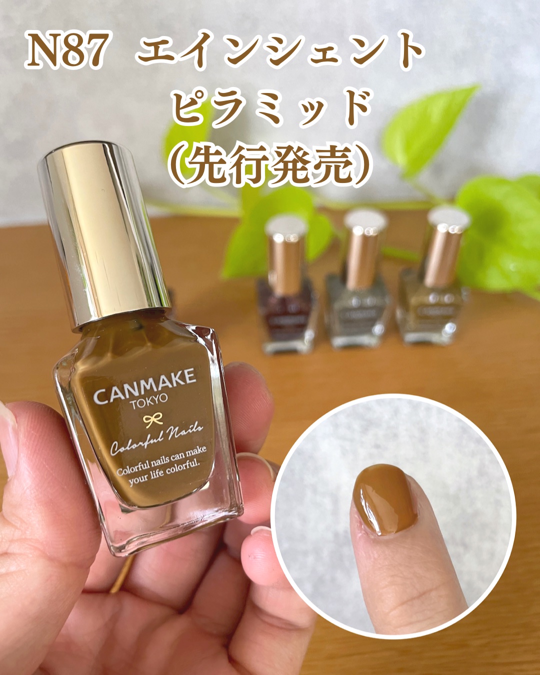 カラフルネイルズ/キャンメイク/マニキュアを使ったクチコミ（3枚目）