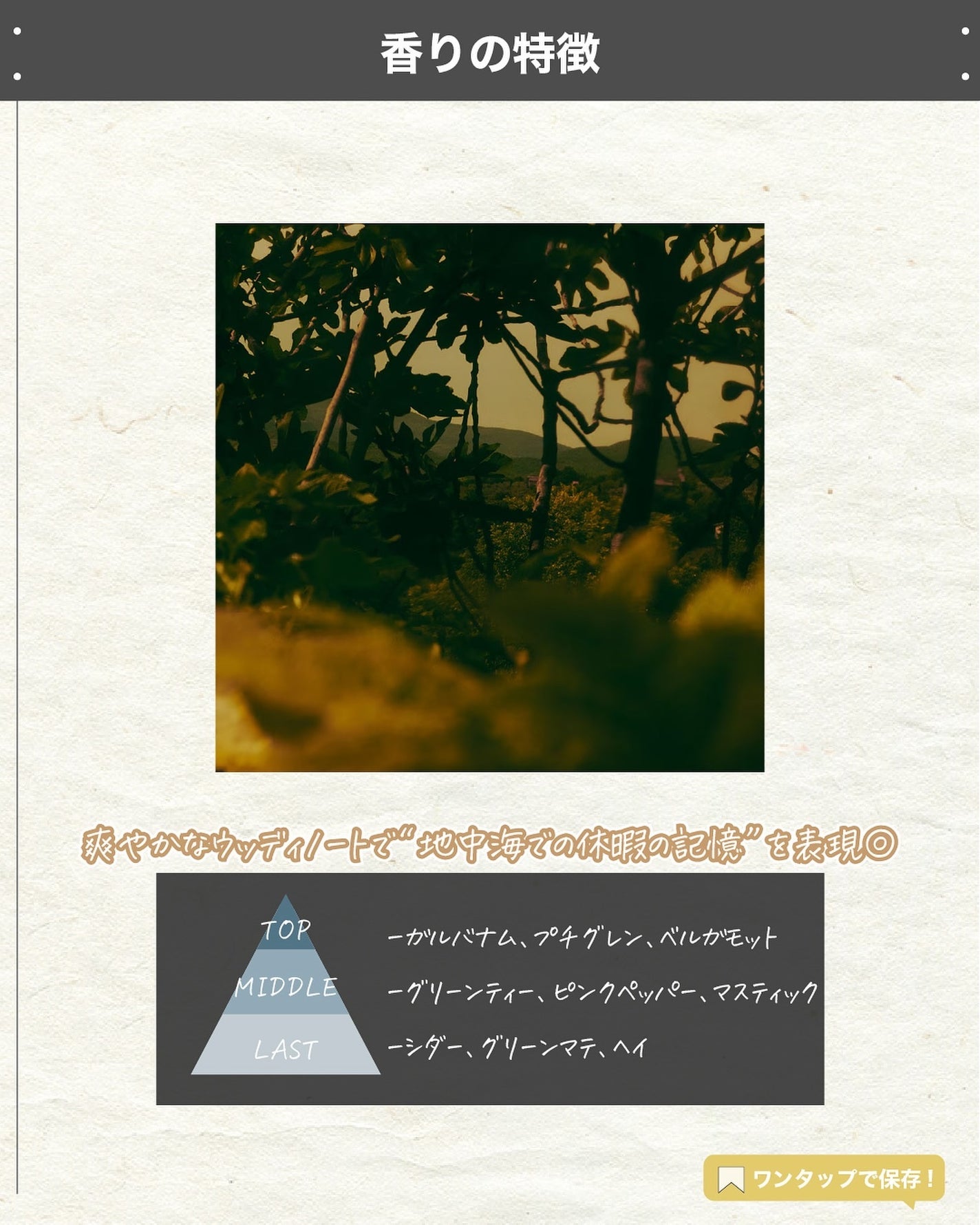 エスログ┊1日1分のモテ香水紹介 on LIPS 「.『イソップ新作香水』🌳製品情報🌳Aēsopヴィレーレオードパ..」(3枚目)