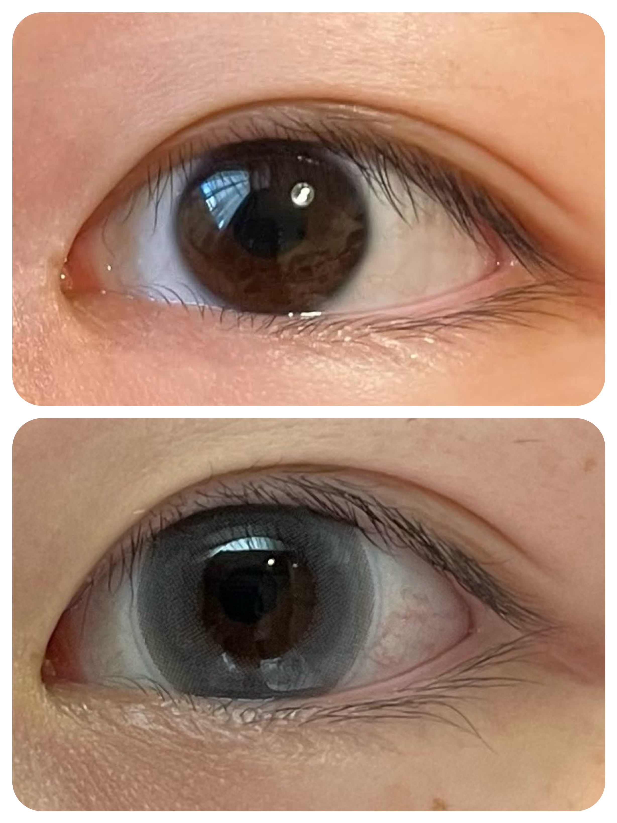 view it color 1day uv/view it/ワンデー（１DAY）カラコンを使ったクチコミ（2枚目）