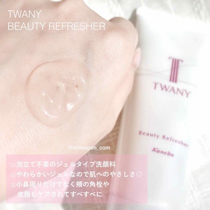 ビューティリフレッシャー/TWANY/その他洗顔料を使ったクチコミ(1枚目)