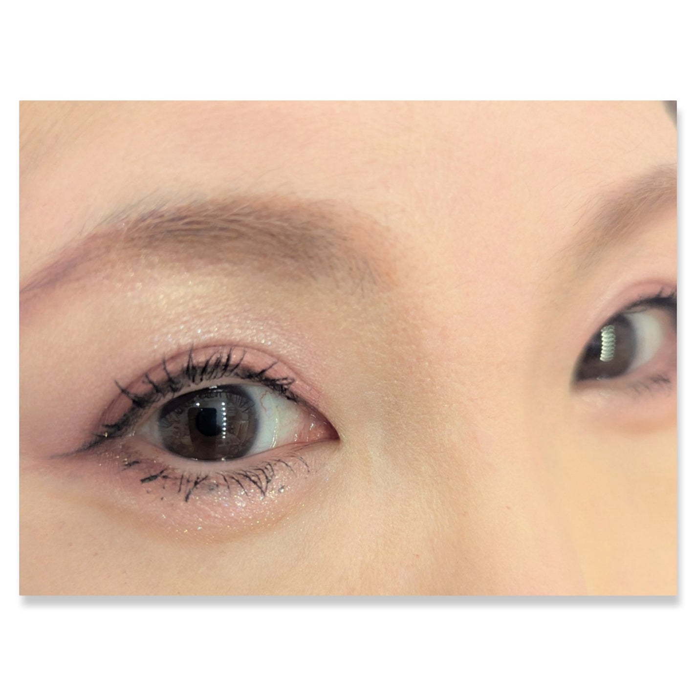 セレクト アイカラー N/ESPRIQUE/単色アイシャドウを使ったクチコミ(2枚目)